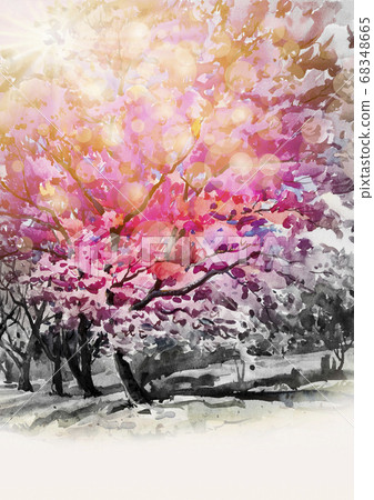 Painting watercolor of wild himalayan cherry 68348665