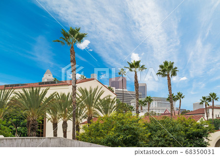 palm trees in Los Angeles palm trees in Los Angeles 68350031