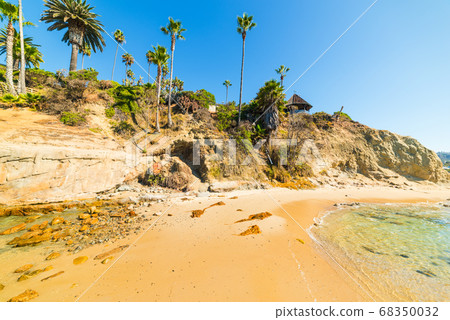 Laguna Beach shoreline 68350032