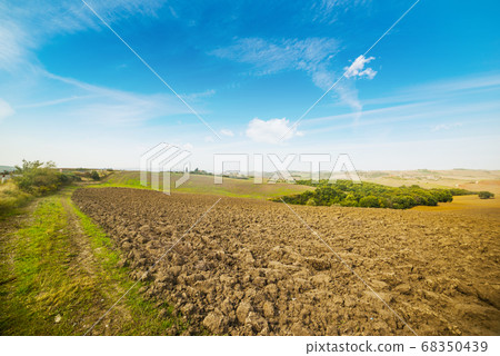 Brown and green field under a blue sky 68350439