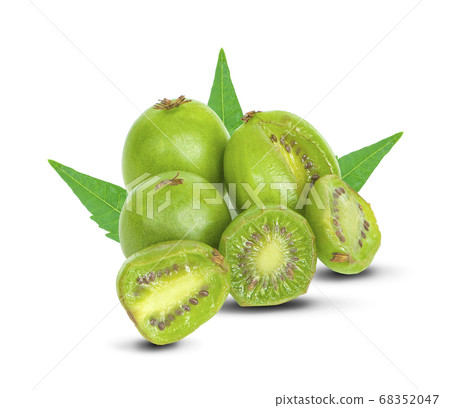 mini kiwis baby fruit an isolated on white 68352047