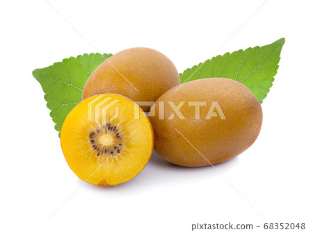 kiwi gold isolated on the white background kiwi gold isolated on the white background 68352048