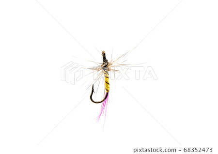 Fly for fishing on white background . Fly for fishing on white background . 68352473