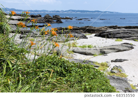 Hamakanzou Hamakanzou 68353550