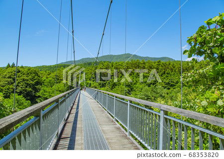 山比子吊橋橫河峽谷 山比子吊橋橫河峽谷 68353820