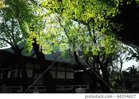 Kujirushi Buddhist temple three buddhist temples Kujirushi Buddhist temple three buddhist temples 68354627