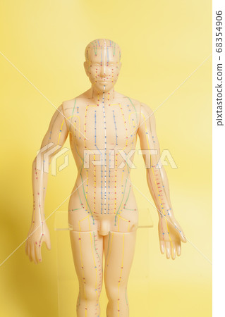 Medical acupuncture model of human 68354906