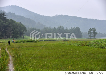 夏天的大瀨 68355727