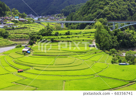 Aarashima夏天 68356741