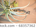 Antique faux green 68357362