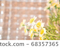 Glitter background fake green 2 68357365
