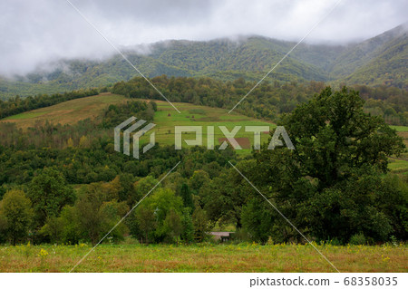 rural area in mountains. misty september morning. rural area in mountains. misty september morning. 68358035