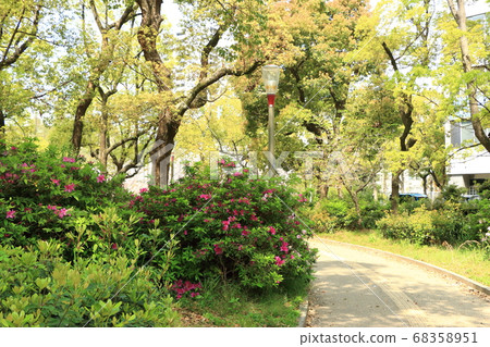 Walking path in Tsubasa Park Walking path in Tsubasa Park 68358951