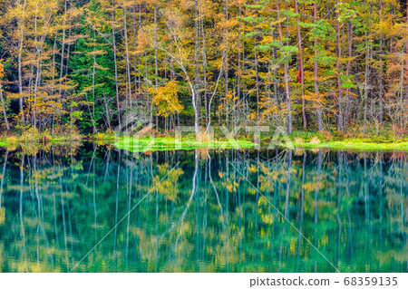 初秋的三好岡池水鏡 68359135