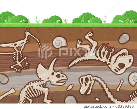 Landscape illustration of a cliff cliff filled with fossil dinosaurs 68359350