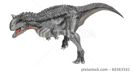 食肉牛龍是“食肉公牛”。白堊紀晚期生活在南美大陸的大型獸腳類動物。大但相對輕巧。 68363581