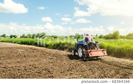 Farmer drives a tractor with a milling machine. Loosening surface, cultivating the land. Farming, agriculture. Loosens, grind and mix soil on plantation field. Field preparation for new crop planting. 68364166