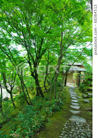 Japanese garden 68364513