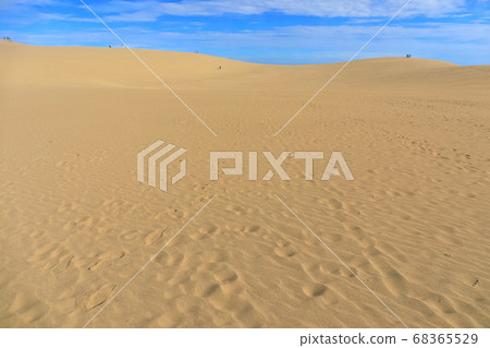 [Tottori] Tottori Sand Dunes under sunny weather 68365529
