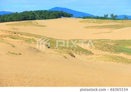 [Tottori] Tottori Sand Dunes under sunny weather 68365534