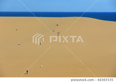 [Tottori] Tottori Sand Dunes under sunny weather 68365535
