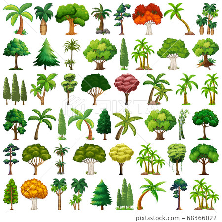 Set of variety plants and trees 68366022