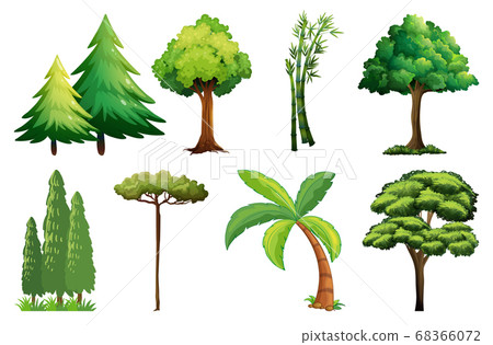 Set of different tree 68366072