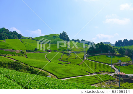 石治茶場和塚 石治茶場和塚 68366114