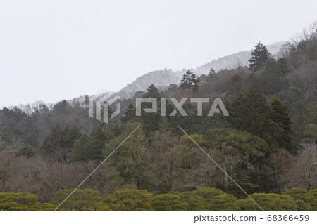 Shugakuin Imperial Villa, foothills of Mt. Hiei, row of pine trees and rural scenery 68366459