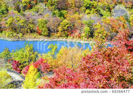 From Inaburase Seseragi Park in autumn to Okushima Lake 2 From Inaburase Seseragi Park in autumn to Okushima Lake 2 68366477