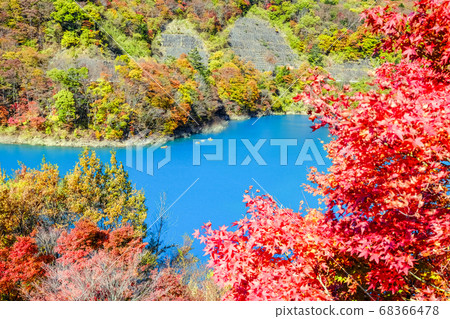 Lake Inokushima from the autumn colors of Inaba Seseragi Park Lake Inokushima from the autumn colors of Inaba Seseragi Park 68366478