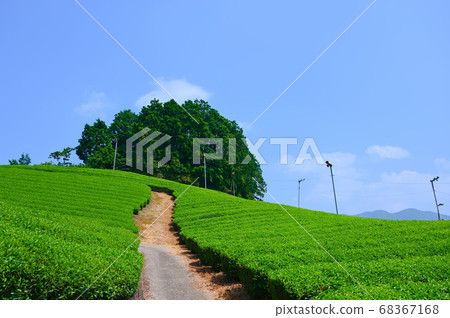 太古山Tu和田茶場 68367168