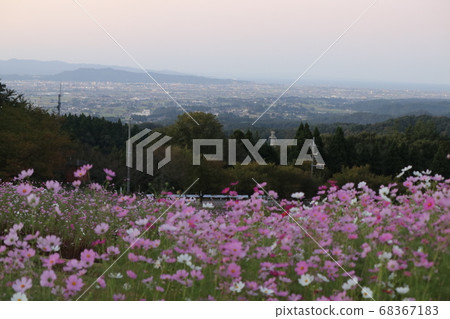 從Yumenohira滑雪勝地波斯菊和Tonami平原 68367183