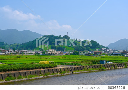 Tea field in Kasuka Tea field in Kasuka 68367226