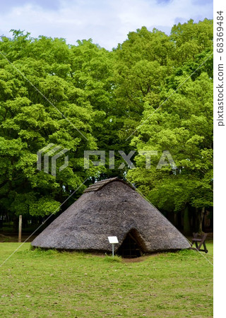 Early summer pit dwelling Early summer pit dwelling 68369484