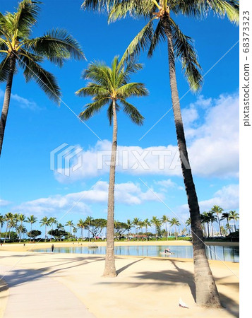 Hawaii Hilton Hotel Lagoon Hawaii Hilton Hotel Lagoon 68373323