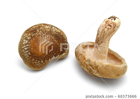 Raw shiitake mushroom 68373666