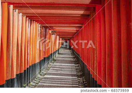 Senbon Torii Fushimi Inari Shrine In Kyoto Stock Photo