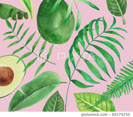 Tropical plant watercolor Tropical plant watercolor 68374250