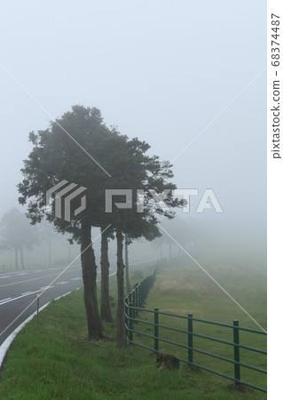 Mist of Horse Ranch Mist of Horse Ranch 68374487