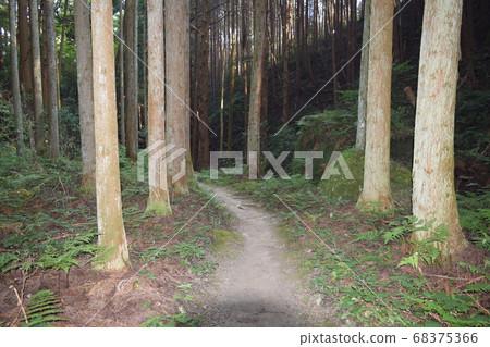 Amano Ishidachi Shrine Approach to Yagyu Kaido 68375366