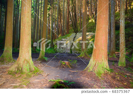 Yagyu Keizen 68375367