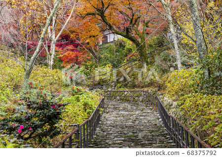 Nase, Hasedera Temple in autumn, Arashi no Saka dyed with autumn colors Nase, Hasedera Temple in autumn, Arashi no Saka dyed with autumn colors 68375792