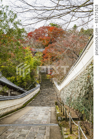 Nara Autumn Hase-dera, approach to Honbo Great Auditorium from the lower corridor Nara Autumn Hase-dera, approach to Honbo Great Auditorium from the lower corridor 68375828