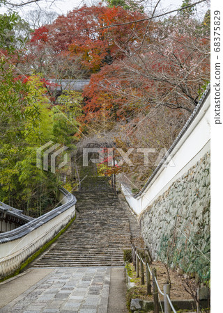 Nara Autumn Hase-dera, approach to Honbo Great Auditorium from the lower corridor Nara Autumn Hase-dera, approach to Honbo Great Auditorium from the lower corridor 68375829