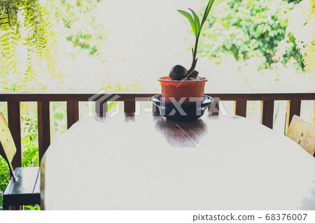 plastic plant pot decorating on wooden table on plastic plant pot decorating on wooden table on 68376007