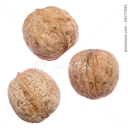 walnuts walnuts 68377041