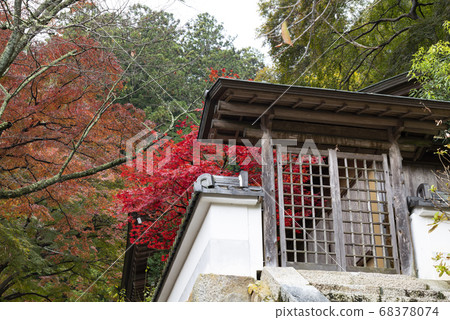 Hase-dera Temple, Nara, Autumn grounds 68378074
