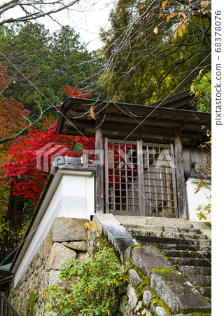 Hase-dera Temple, Nara, Autumn grounds 68378076