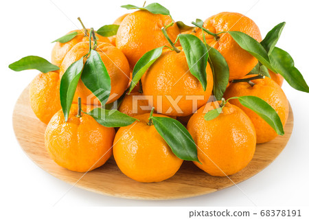 Kishu成熟的Ponkan 68378191